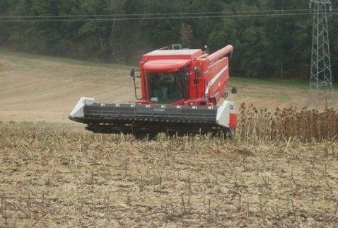 Moisson tournesol avec broyeur de tiges