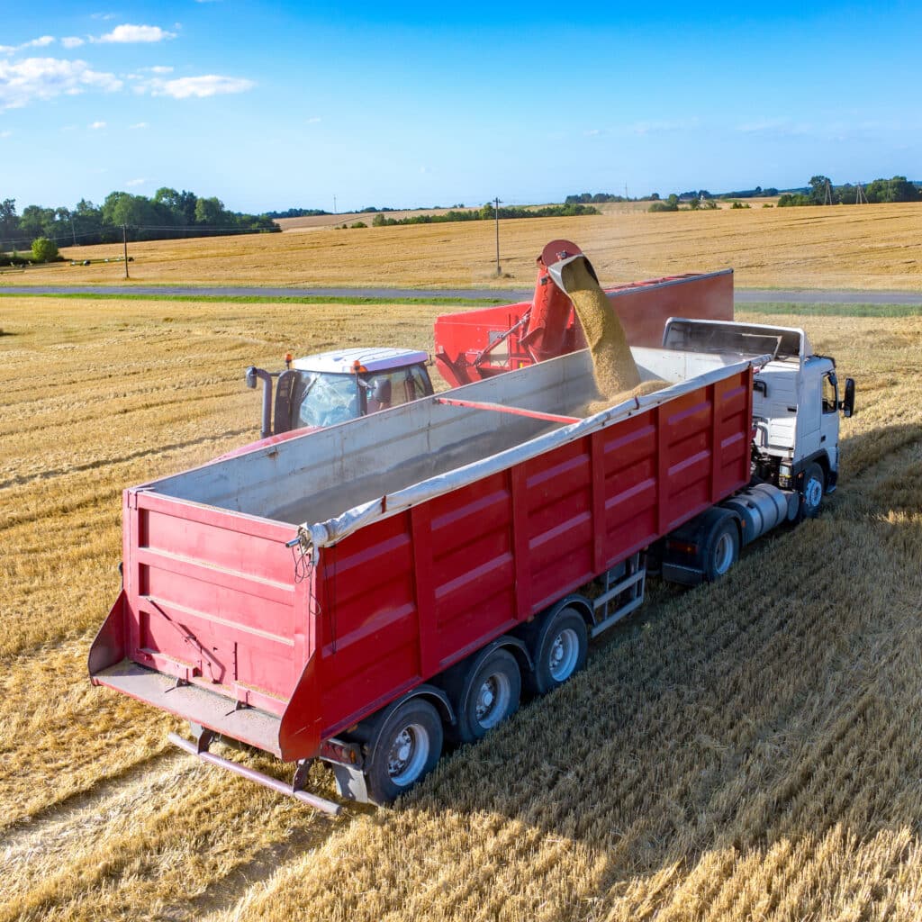 Tracteur agricole rouge déchargeant du grain dans un camion-remorque rouge sur un champ de céréales moissonné sous un ciel bleu.
