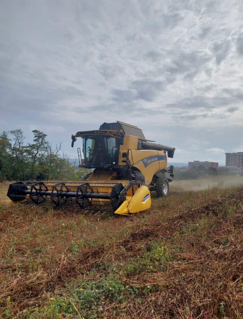 Moissonneuse-batteuse New Holland Everest jaune et noire dans un champ de chaume. Ciel nuageux, bâtiments en fond.