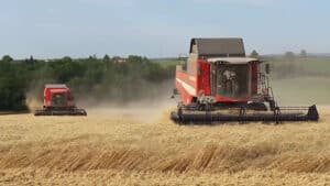 Moisson de blé
Travaux agricoles