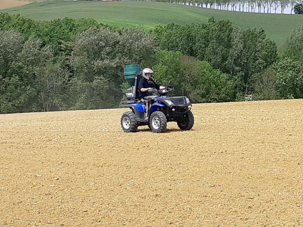 Épandage d'anti-limace
Travaux agricoles