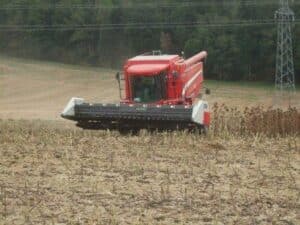 Moisson tournesol avec broyeur de tiges Travaux agricoles