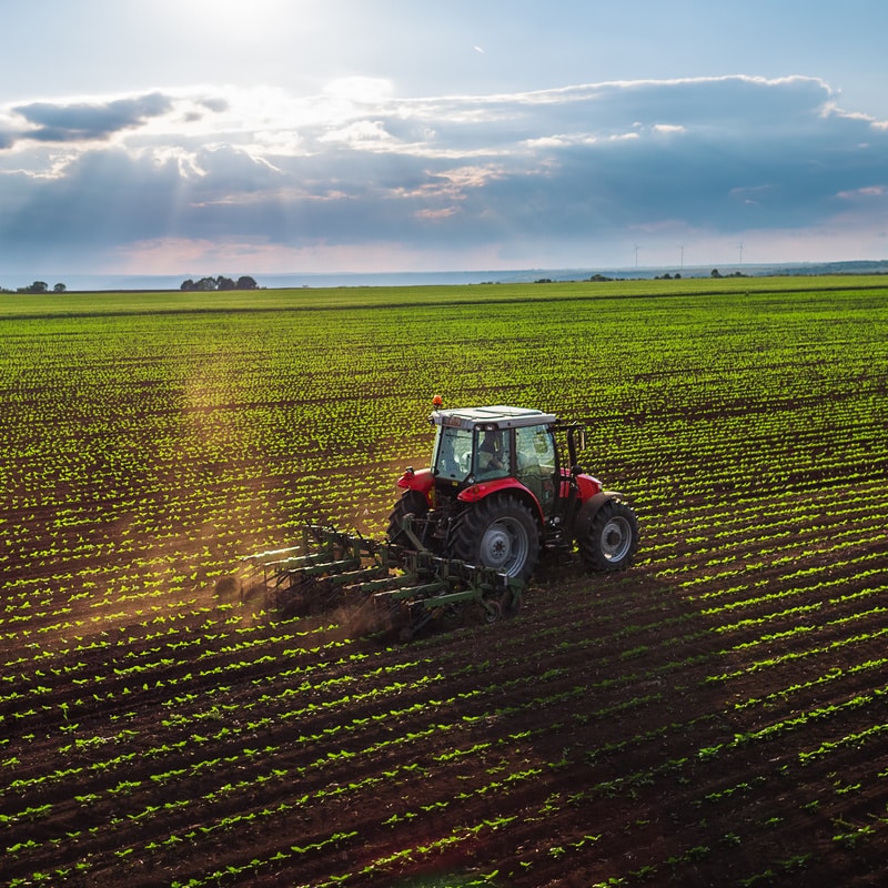 Tracteur dans champ: l'agriculture moderne sous le soleil Tracteur rouge travaillant un champ vert avec des jeunes cultures en rangées. Rayons de soleil traversent les nuages, soulignant l'agriculture moderne.