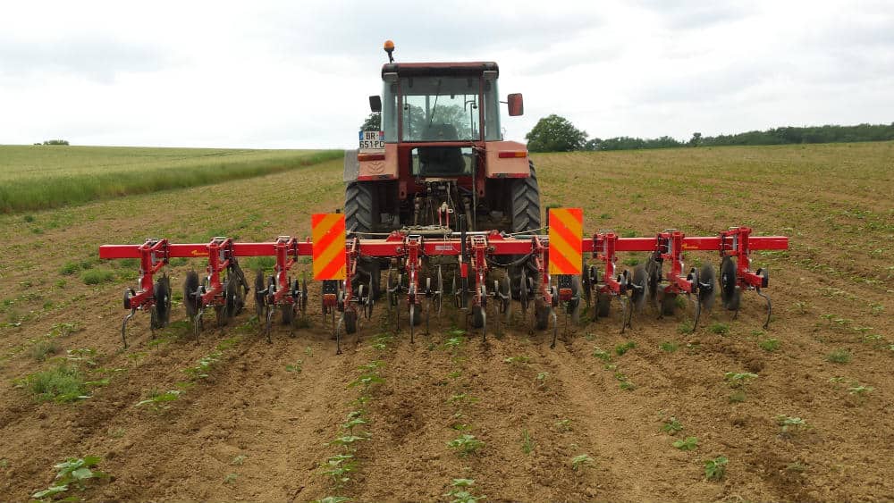 Binage Travaux agricoles
